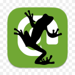 Logo Screaming Frog